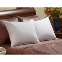 Pacific Coast&reg; Down Chamber&trade; Pillow