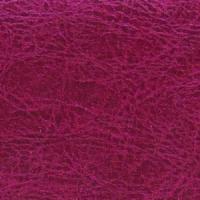Brisa Fresco Elderberry