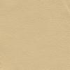Desert Clay