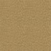 Buckskin (QS for MC)