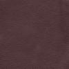 Coffee Bean Brisa